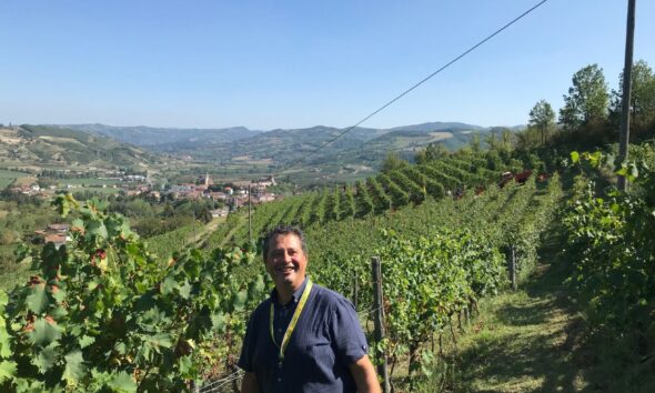 Vendemmia 2025 in Piemonte: qualità in crescita e tutele richieste