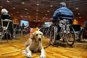 Convegno a Palazzo Lascaris sugli interventi assistiti con animali