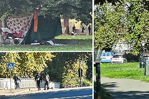 Demoliti gli abusivi al parco Sempione, sgomberata l’area cani