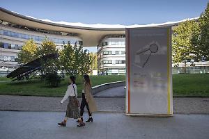 Riparte il corso sulla violenza maschile al Campus Einaudi di UniTo